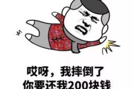 玉环为什么选择专业追讨公司来处理您的债务纠纷？